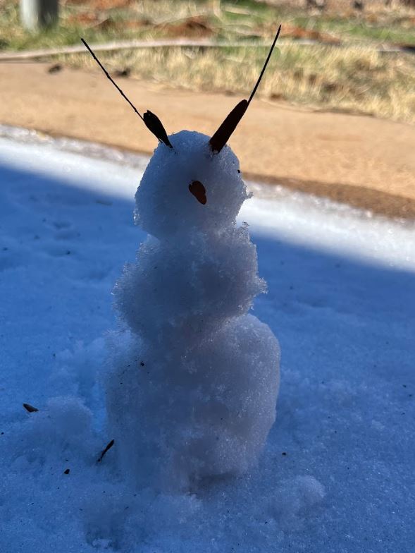 Small Snowman with antenna and nose