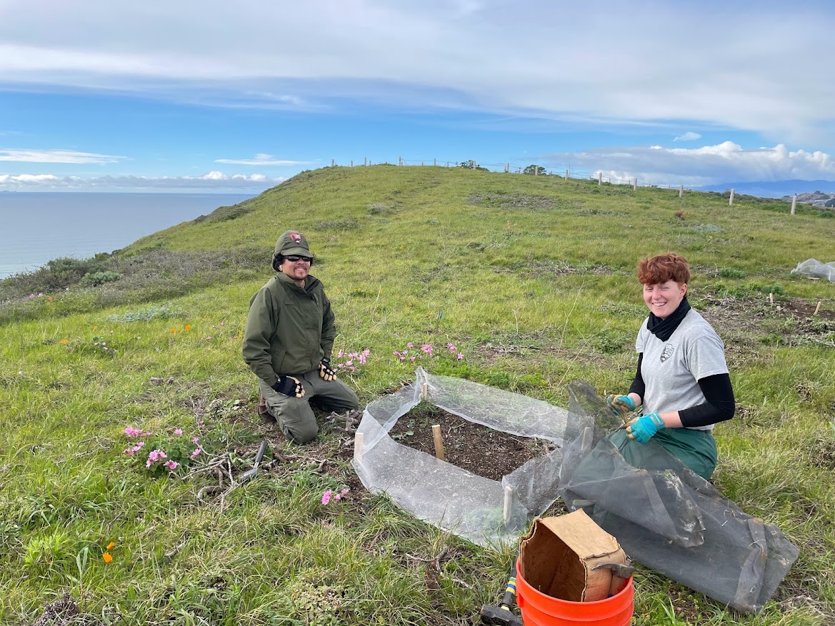 Native? Invasive? They're just plants! - Environment for the Americas