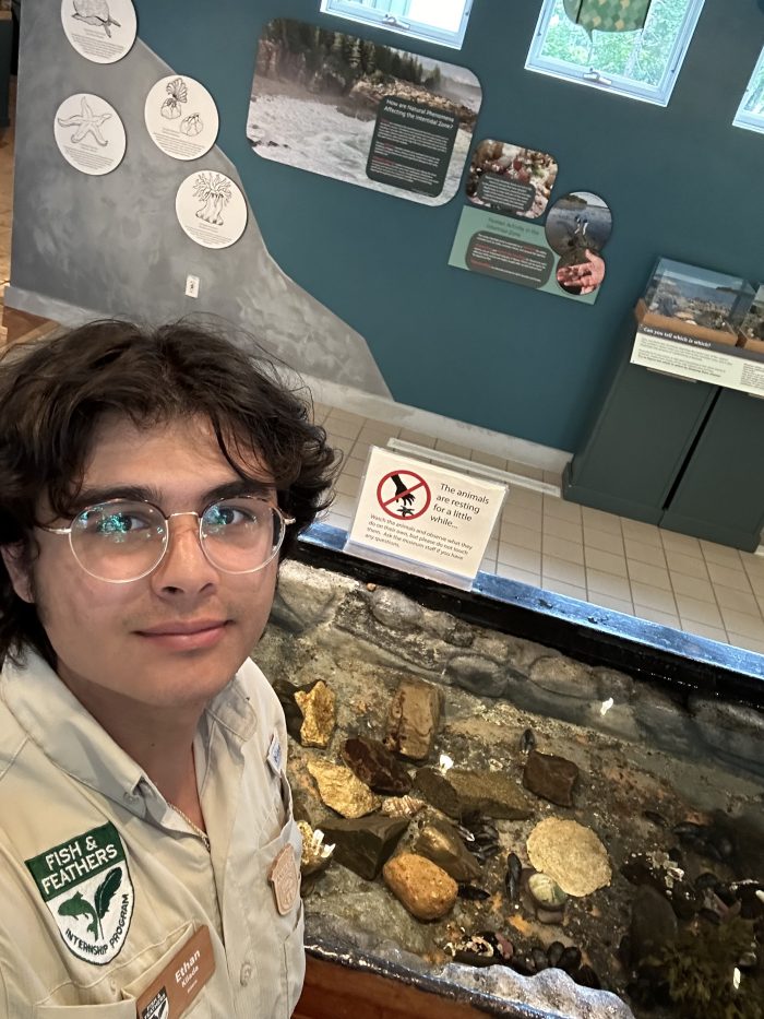Intertidal Touch Tank Tours! - Environment for the Americas