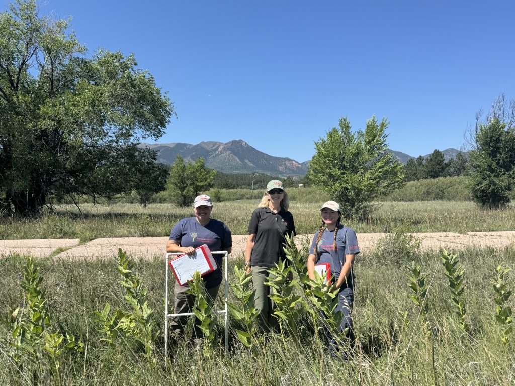 Monarch team members Brittany Hutchinson and Jansy Alvarado, along with EFTA Executive Director Susan Bonfield, surveying milkweed in Colorado Springs, with mountains in the background and milkweed in the foreground.