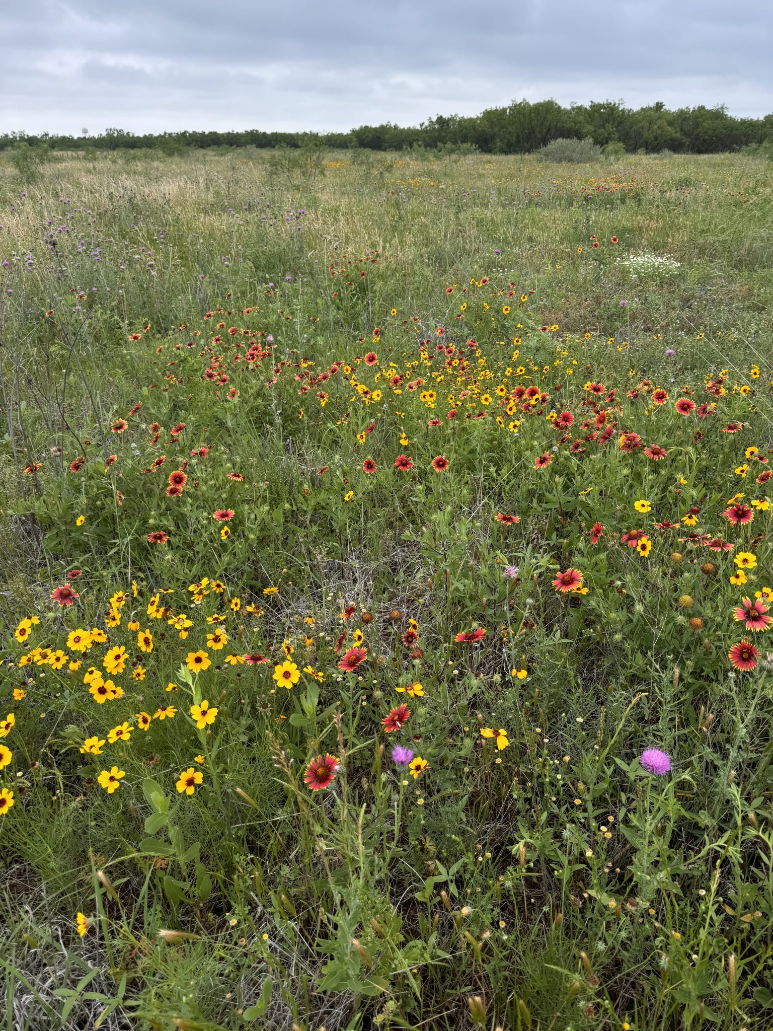 A change in the seasons - Environment for the Americas