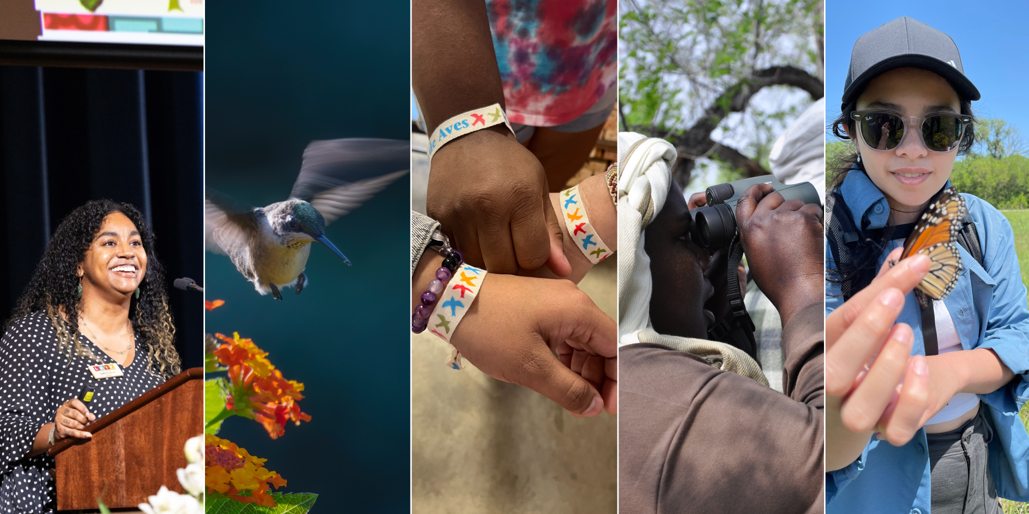 Collage of Latina EFTA intern giving a presentation, a hummingbird in flight, children wearing "Bird Buddy" bracelets, a woman birding, and an intern holding a monarch butterfly
