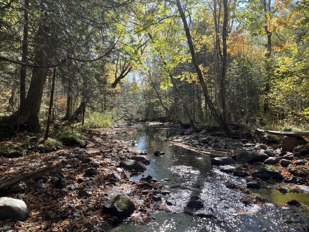 In Stream Structures Stream Structures in October - Environment for the Americas