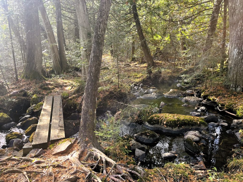 In Stream Structures Stream Structures in October - Environment for the Americas