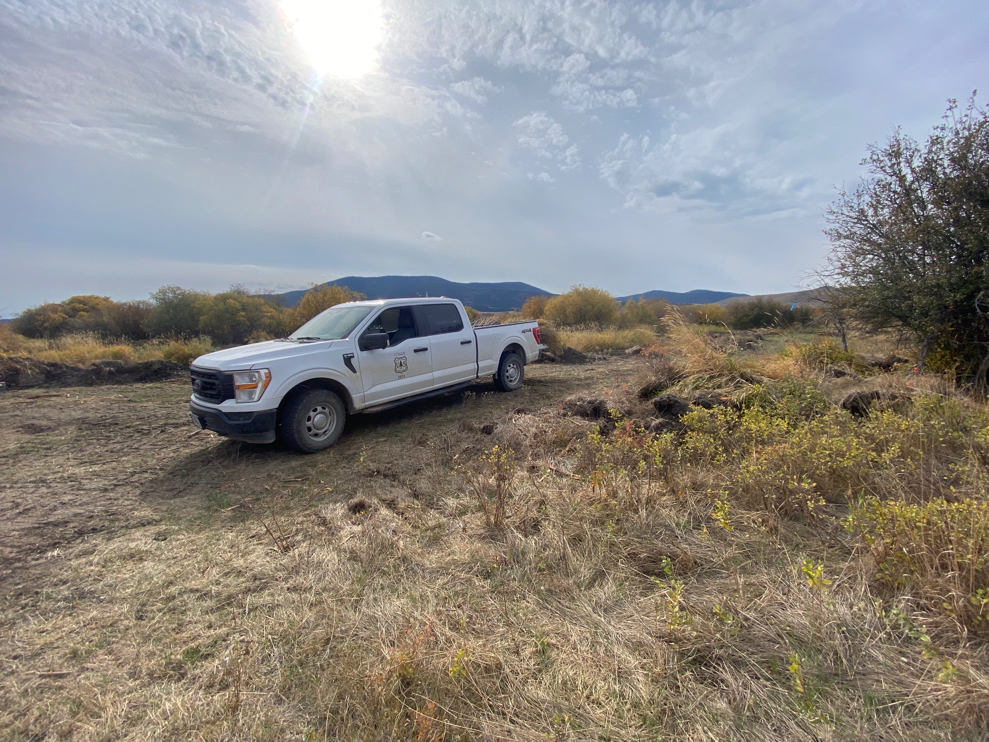 Riparian Habitat Restoration In the Upper Blackfoot Valley Along Nevada ...