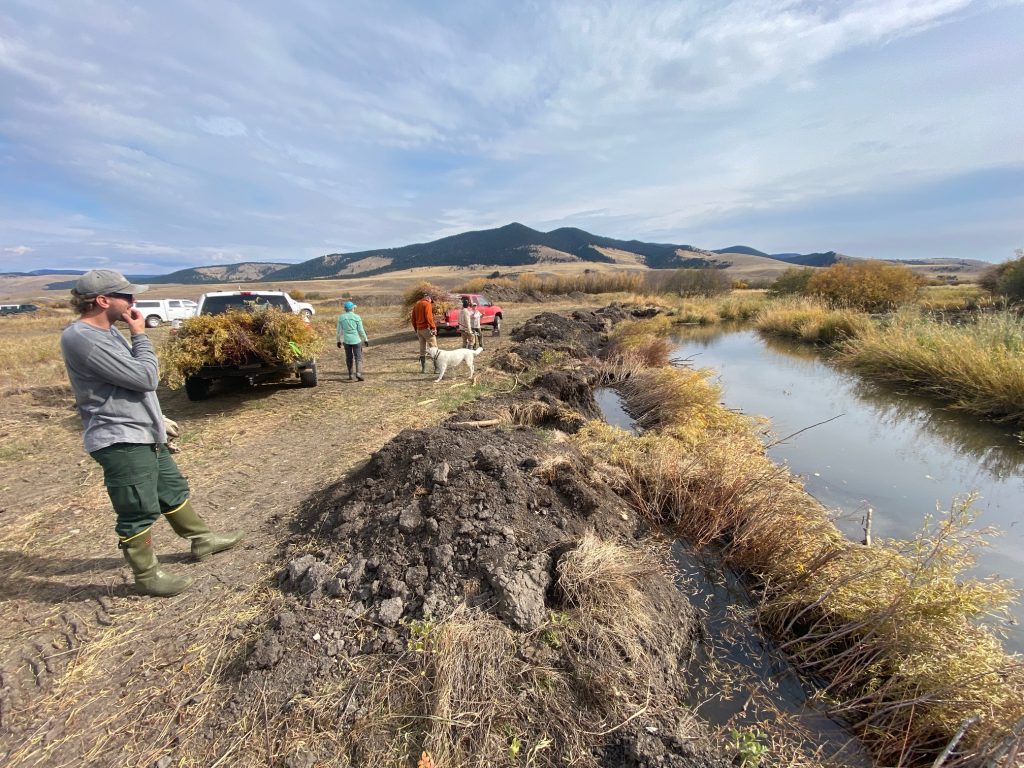Riparian Habitat Restoration In the Upper Blackfoot Valley Along Nevada ...