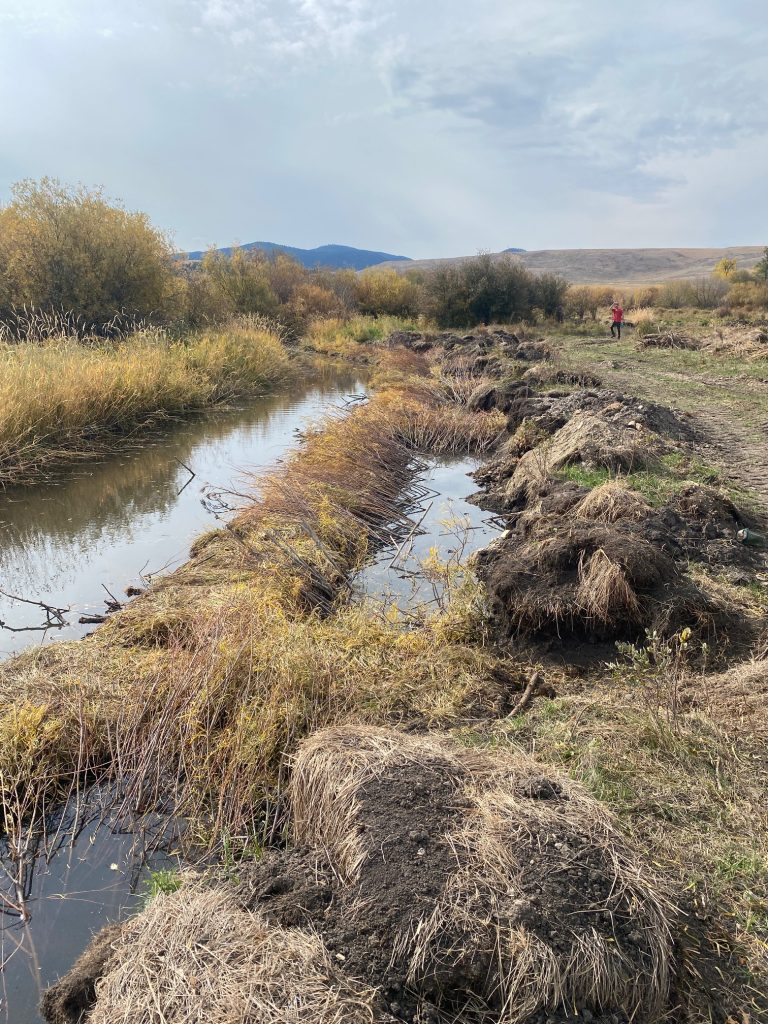 Riparian Habitat Restoration In the Upper Blackfoot Valley Along Nevada ...