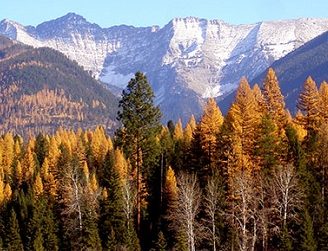 Montana in the fall.