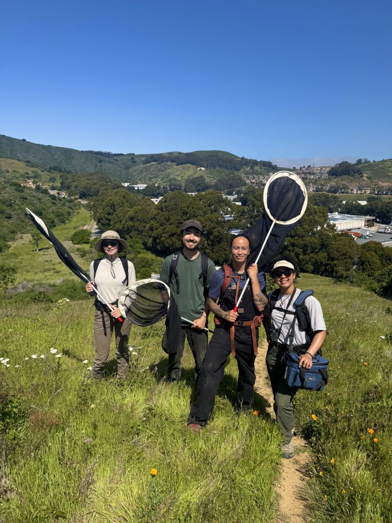 Chasing Butterflies - Environment for the Americas
