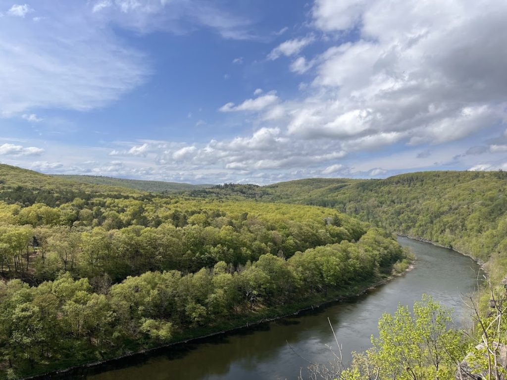 Delaware Environment Week in my Life as a Fish and Feather Intern at Upper Delaware ...