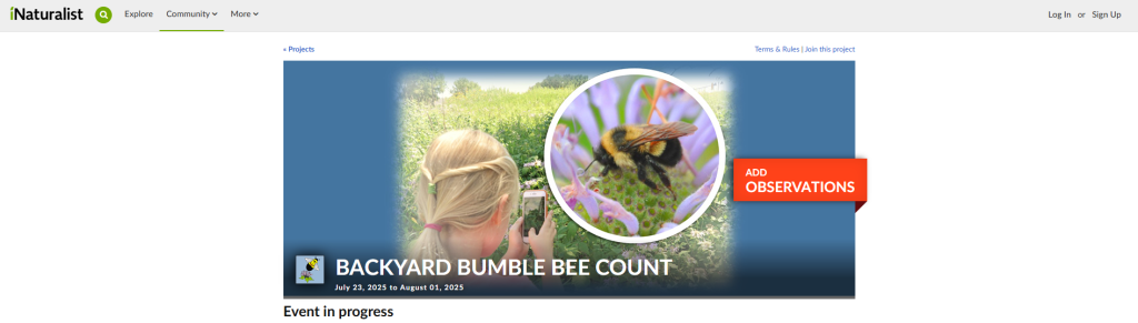 Backyard Bumble Bee Count iNaturalist website banner