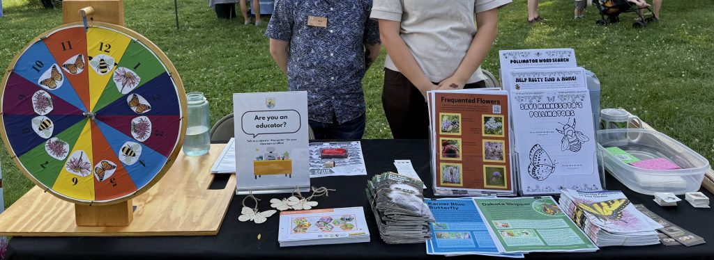 Pollinator Party table display