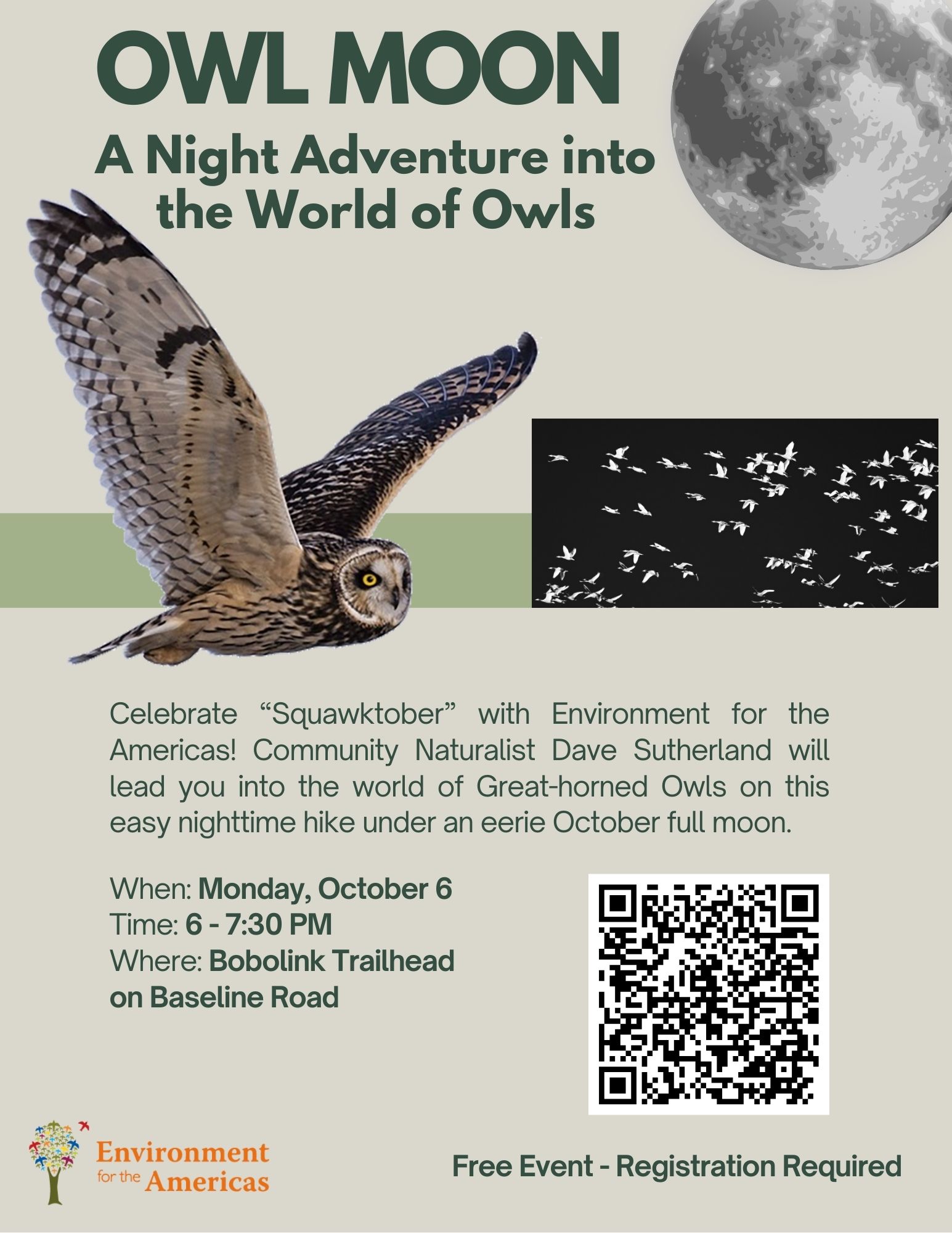 Owl Moon: A Night Adventure into the World of Owls - Environment