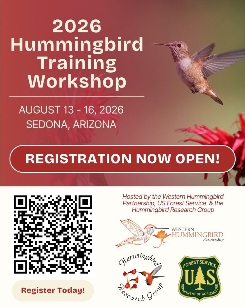 Hummingbird Training Workshop in Sedona - Environment for the Americas