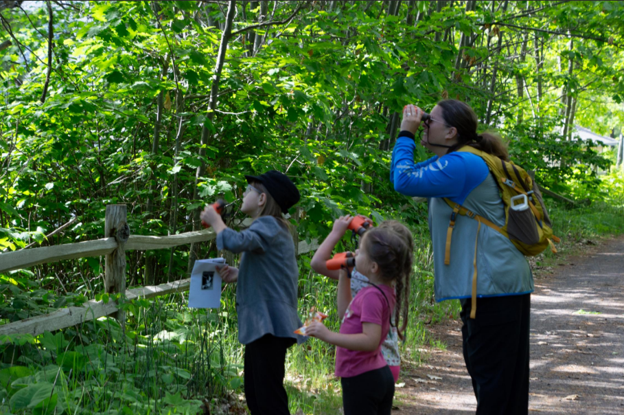 Attendees looking at a bald eagle nest