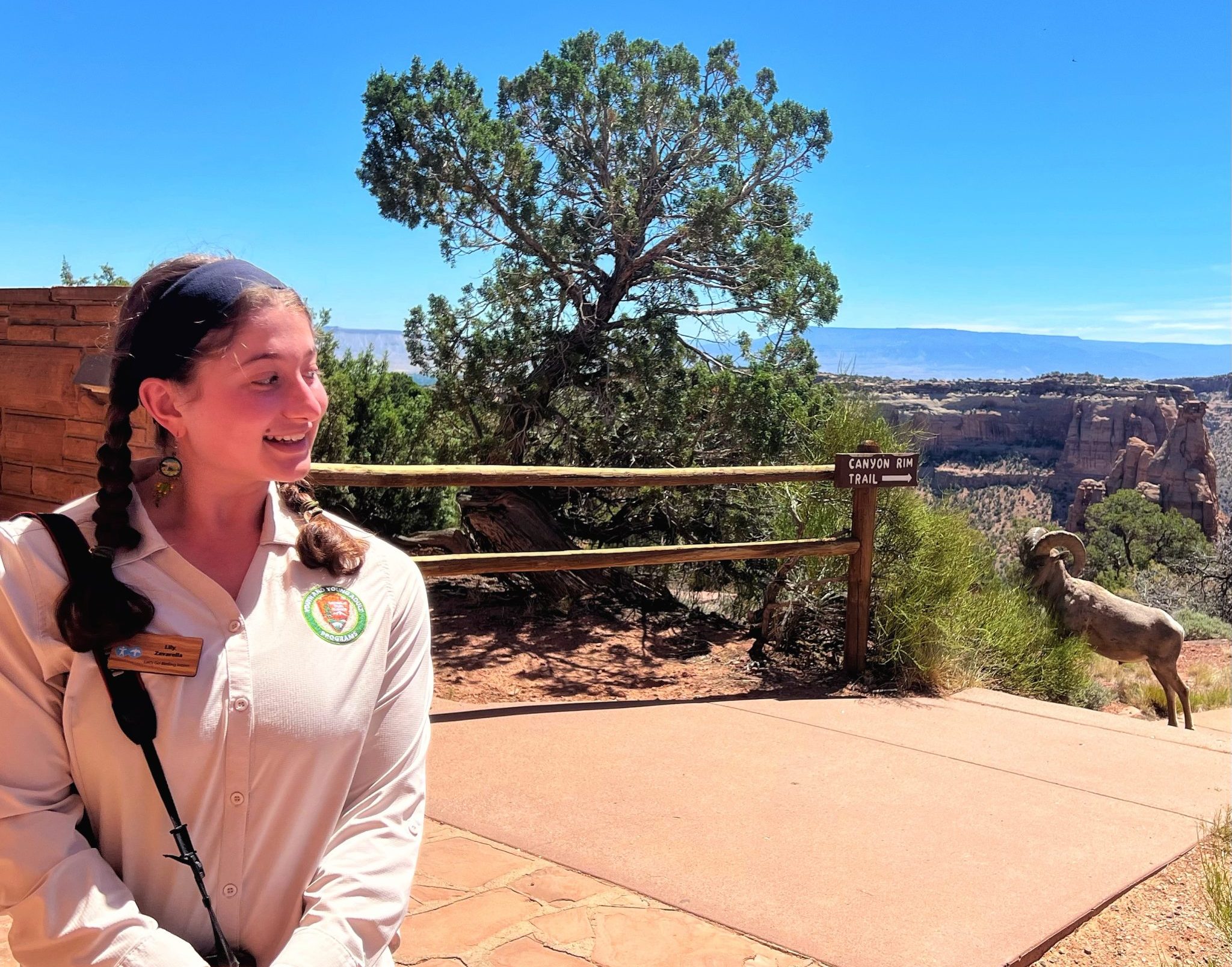 Lily stands at the left edge of the photo. Behind her is a cloudless blue sky, tall juniper tree, and a distant red sandstone canyon view. A sign behind her points to the right and reads "Canyon Rim Trail." A bighorn ram with fully curled horns stands comedically in the way of the trailhead. Lily's head is turned slightly to the right to side-eye the imposing animal.