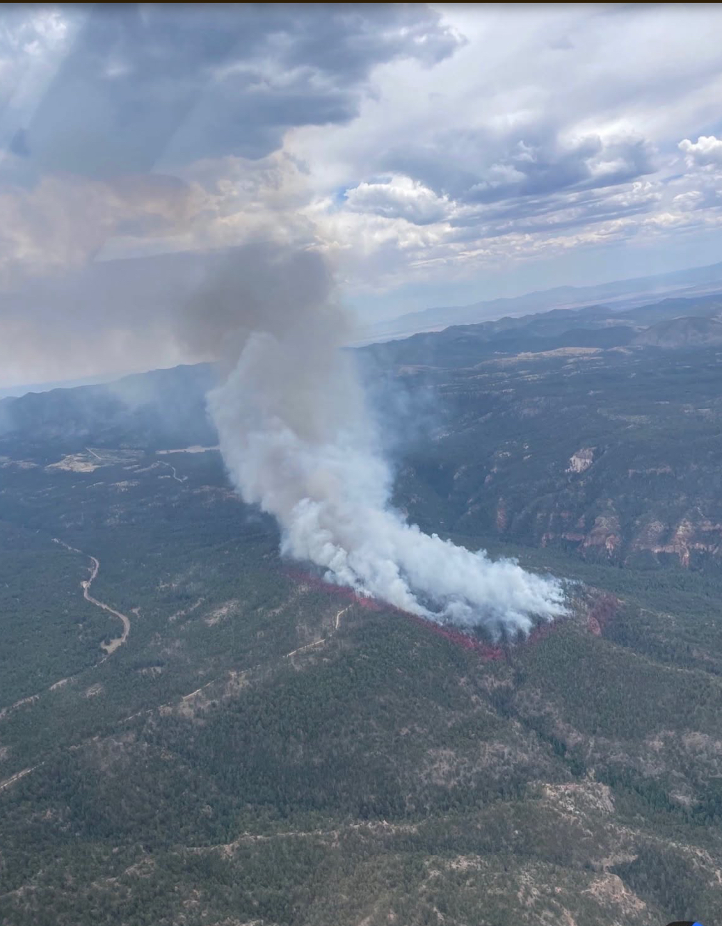 Image of a forest on fire with the plume of smoke reaching the sky.