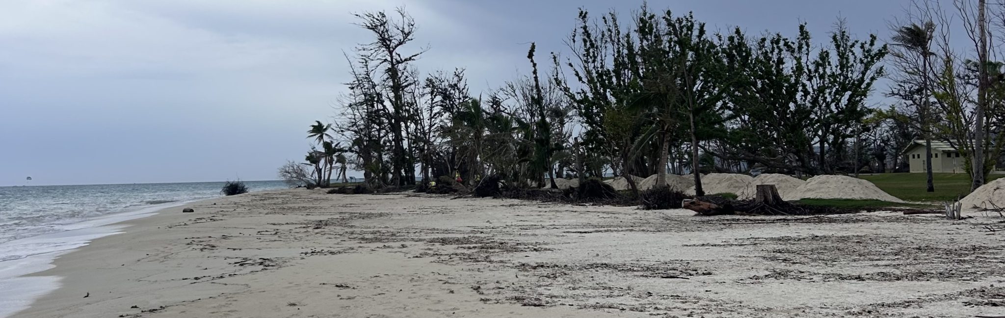 volunteer trash pick-up at Micro Beach