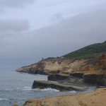 DSCF0310